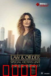 法律与秩序：正义对决