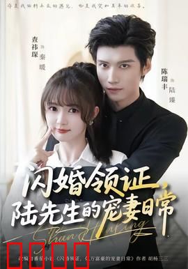 闪婚领证，陆先生的宠妻日常：霸气总裁宠上天