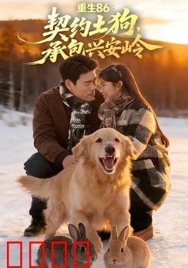 《重生86：逆袭人生》