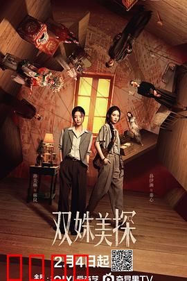 双姝美探：破局谜案
