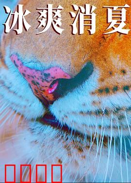 寒冰白血：冰原仁心