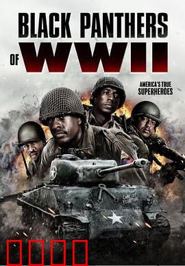 二战黑豹：坦克战神降临