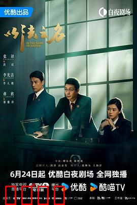 以法之名：正义的代价