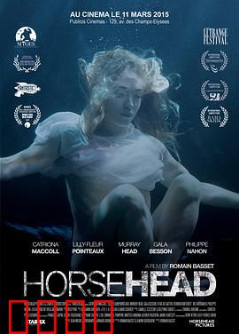 马头：诡异马首奇案