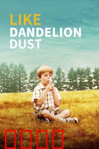 像蒲公英的灰尘：寻亲路上的悲欢