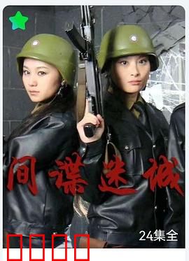 间谍迷城：双面人生