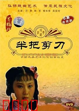 半把剪刀：冤案真相